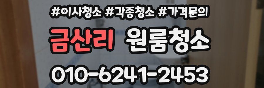 금산리 이사청소