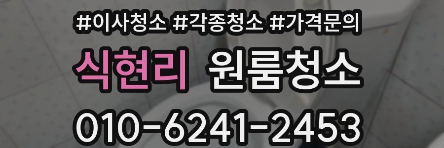 식현리 이사청소