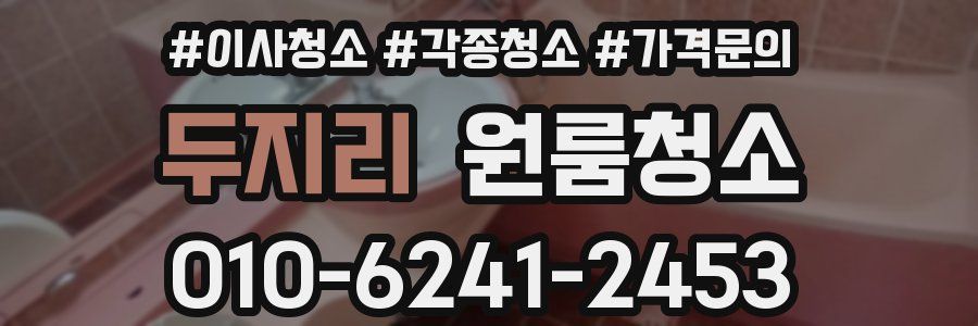 두지리 이사청소