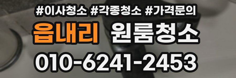 읍내리 이사청소