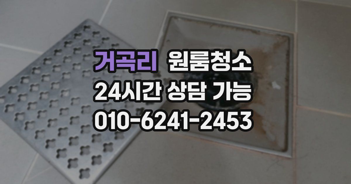 거곡리 입주청소