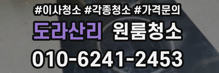 도라산리 이사청소