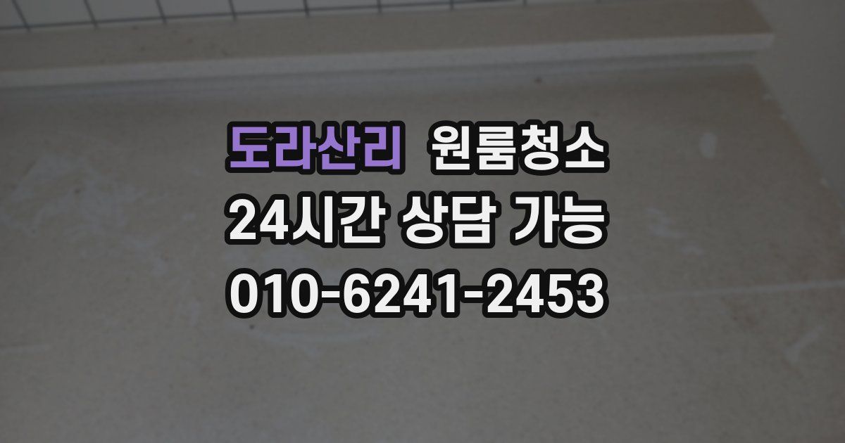 도라산리 입주청소