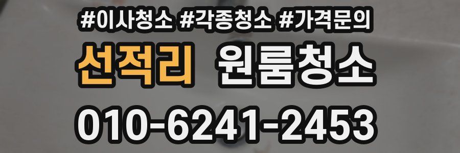 선적리 이사청소