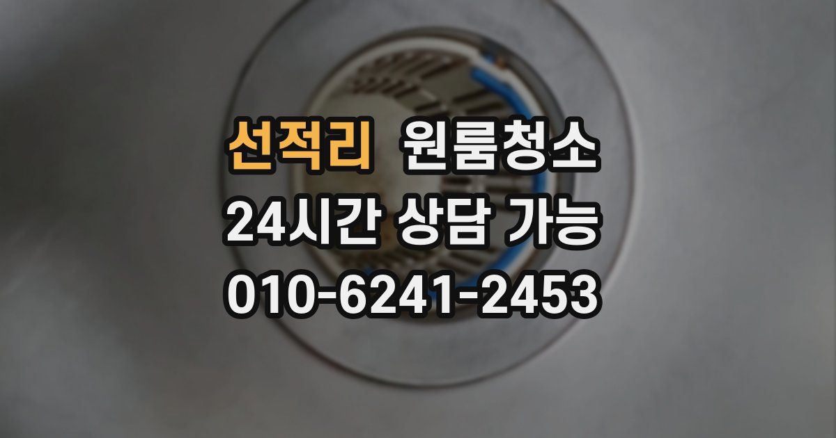 선적리 입주청소