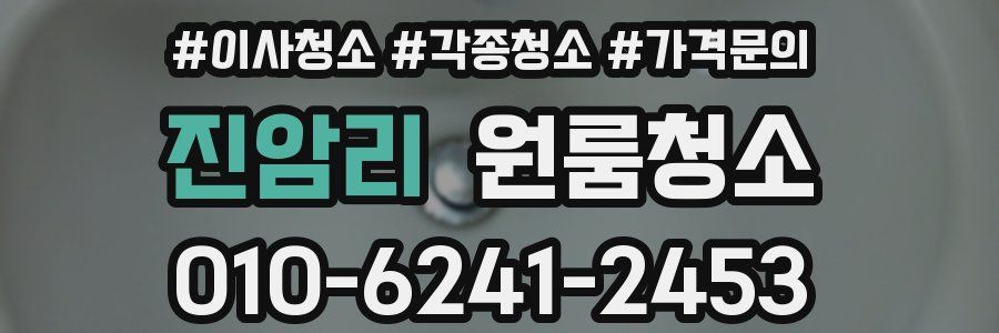 진암리 이사청소