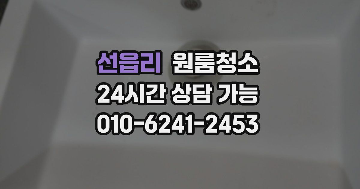 선읍리 입주청소