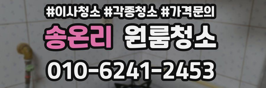 송온리 이사청소