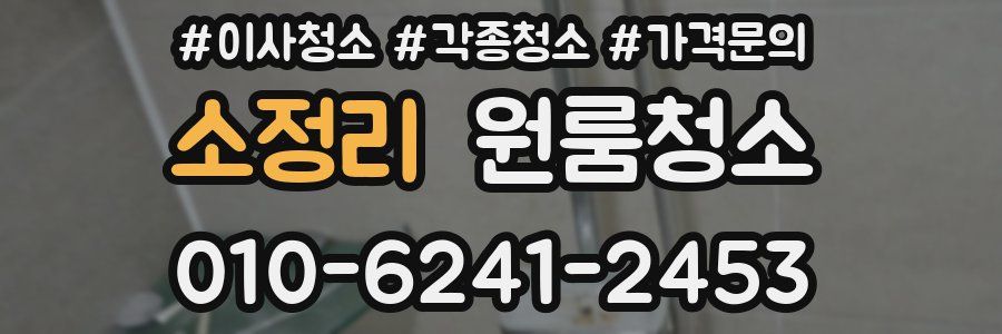 소정리 이사청소