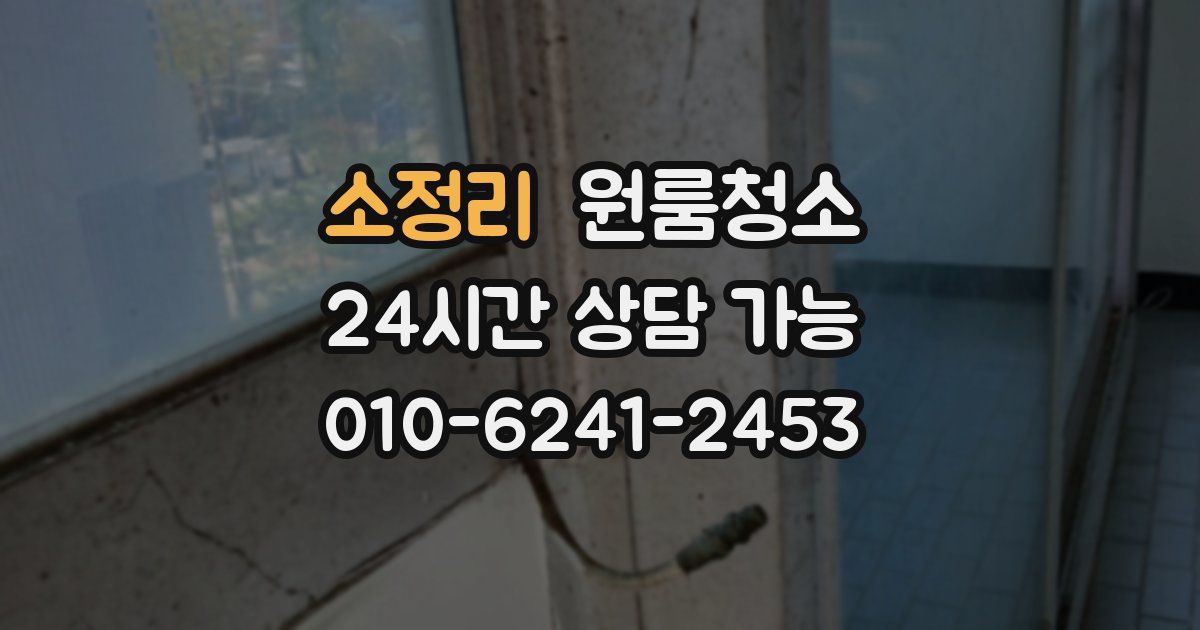 소정리 입주청소