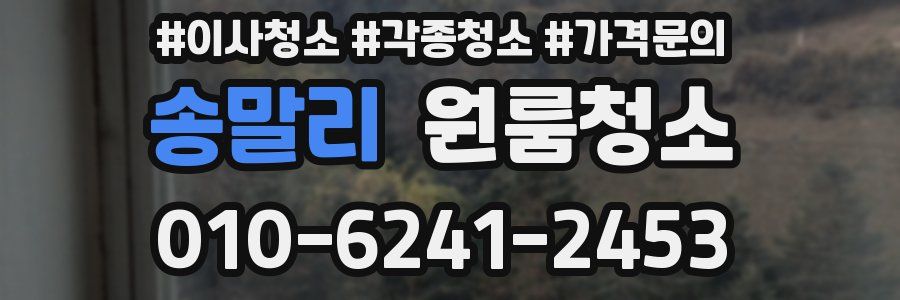 송말리 이사청소