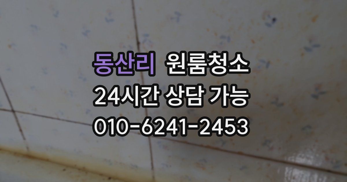 동산리 입주청소