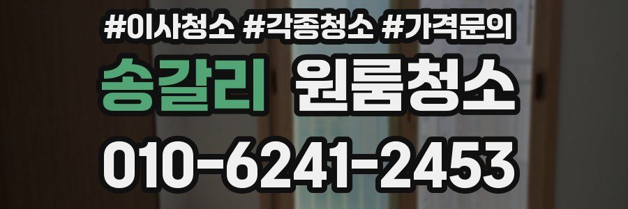 송갈리 이사청소