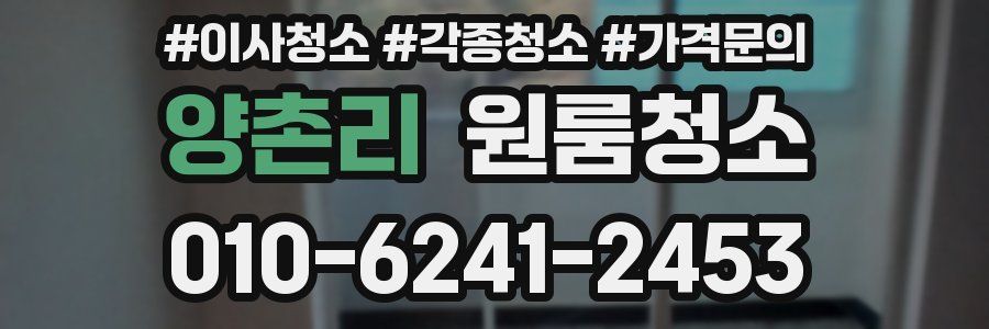 양촌리 이사청소