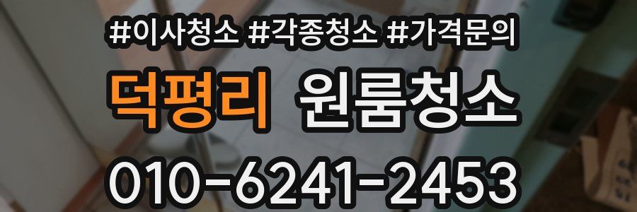 덕평리 이사청소