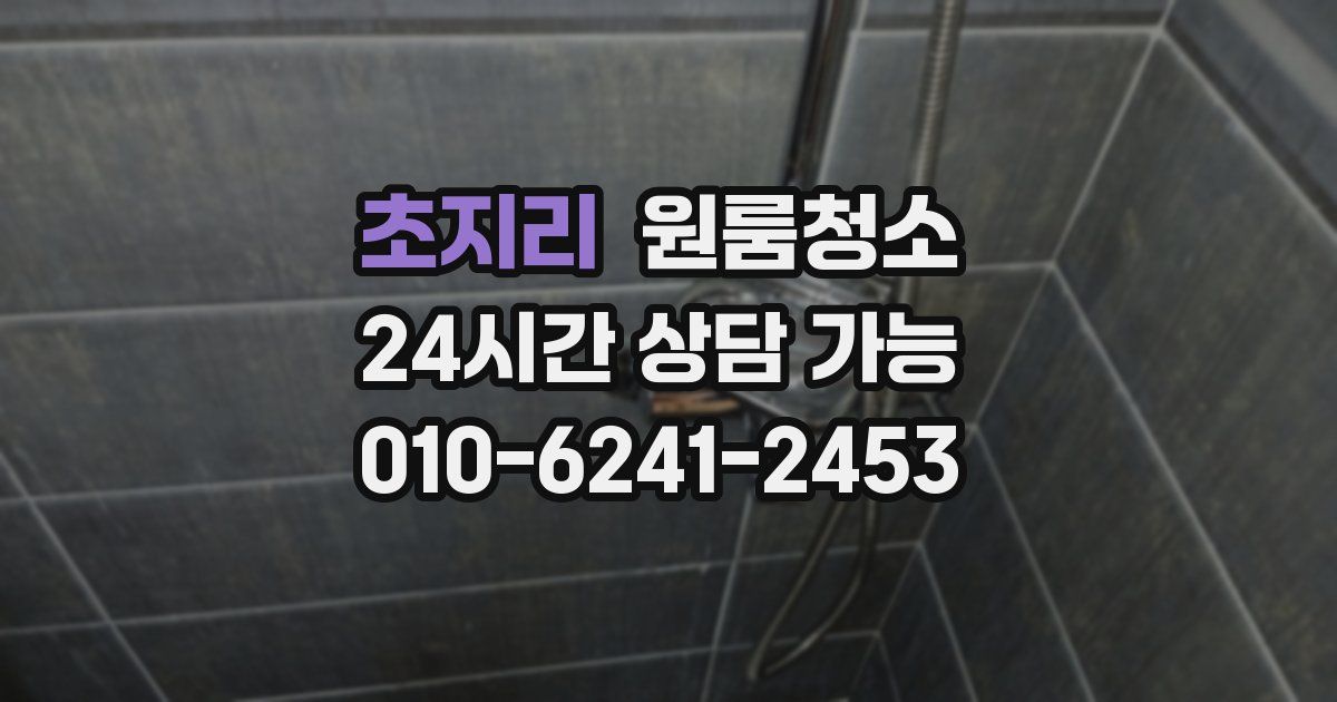 초지리 입주청소