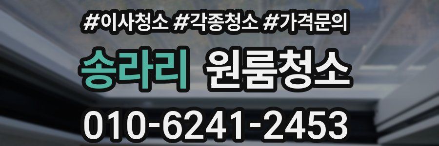 송라리 이사청소