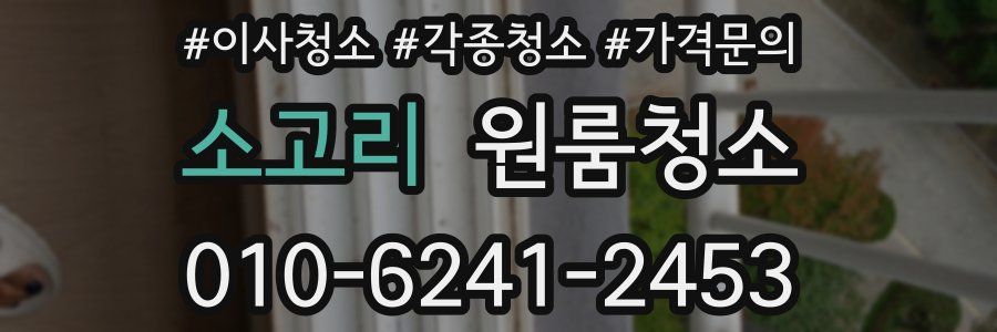 소고리 이사청소