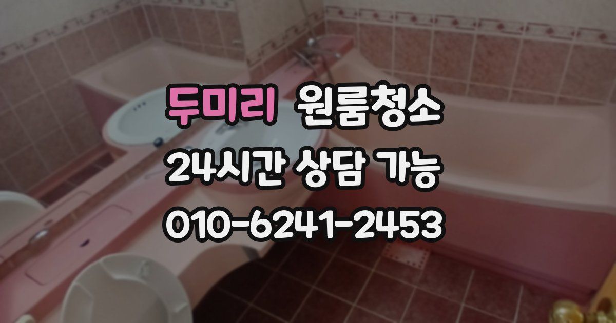 두미리 입주청소