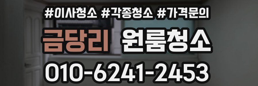 금당리 이사청소