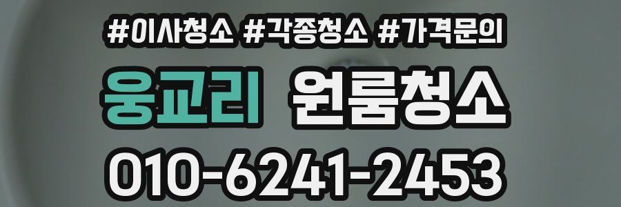 웅교리 이사청소