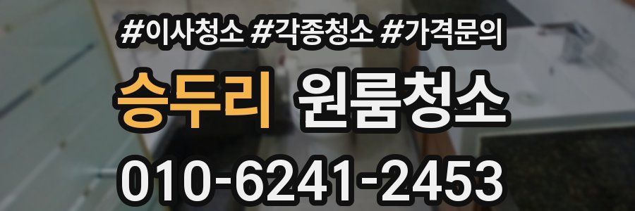 승두리 이사청소