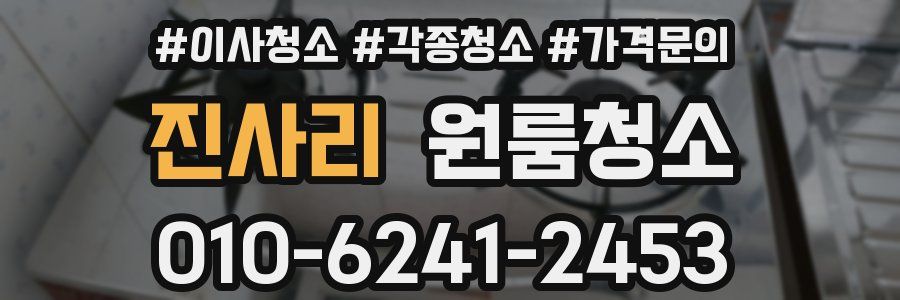 진사리 이사청소