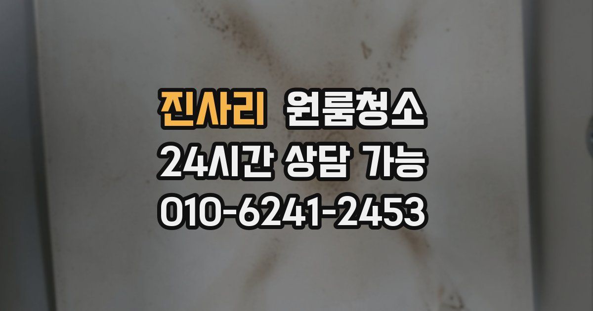 진사리 입주청소