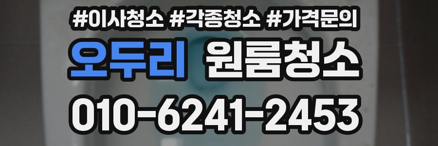 오두리 이사청소