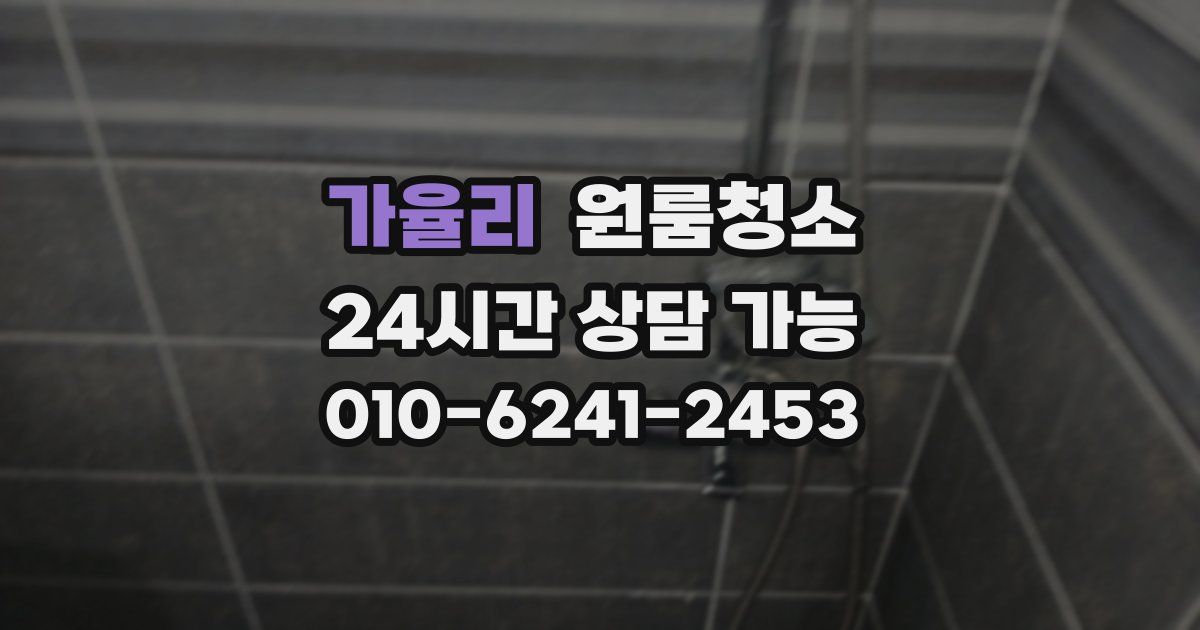 가율리 입주청소