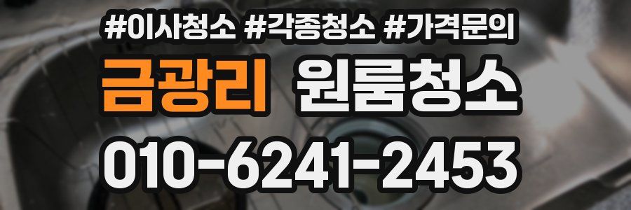 금광리 이사청소