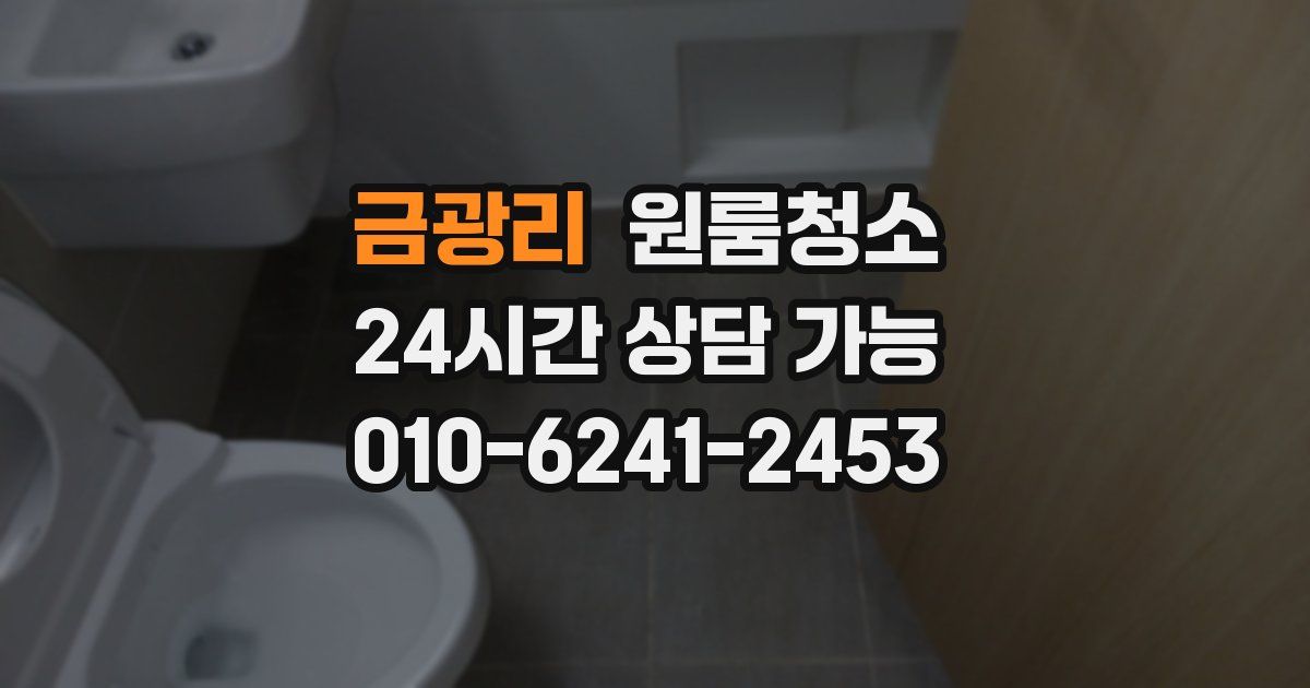 금광리 입주청소