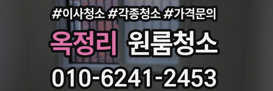 옥정리 이사청소