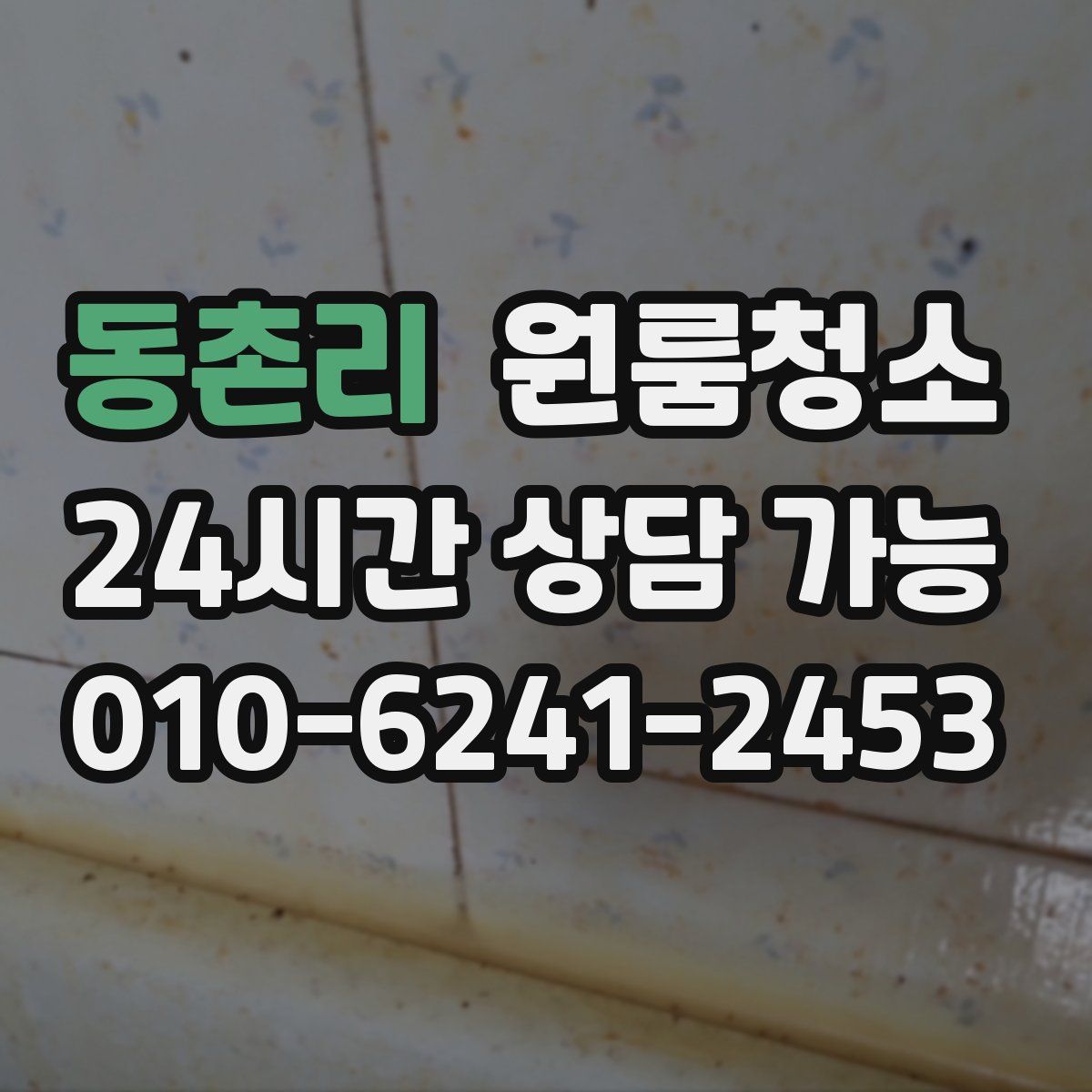 동촌리 원룸청소