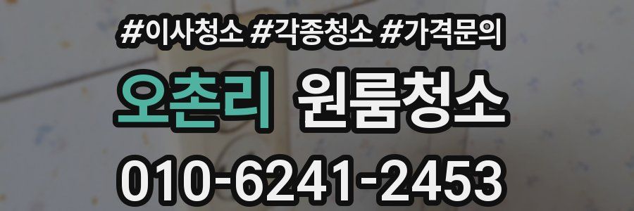 오촌리 이사청소