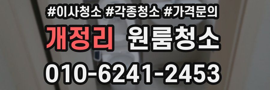 개정리 이사청소