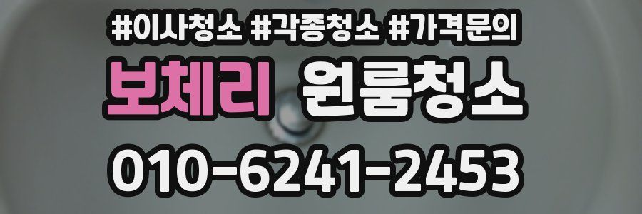 보체리 이사청소