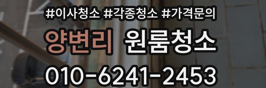 양변리 이사청소