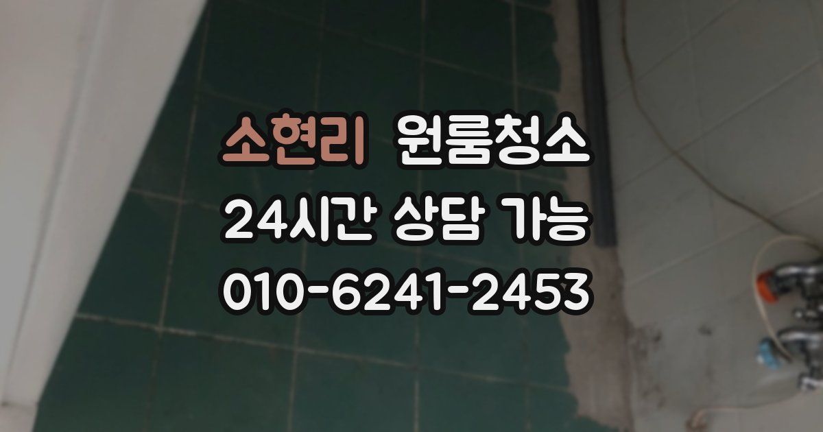 소현리 입주청소