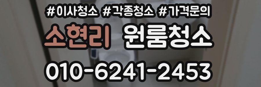 소현리 이사청소