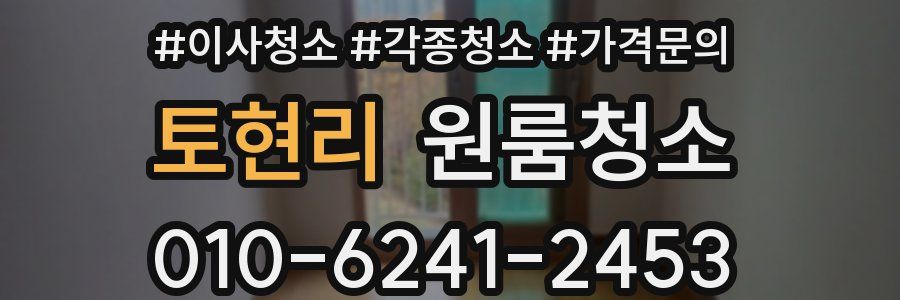 토현리 이사청소