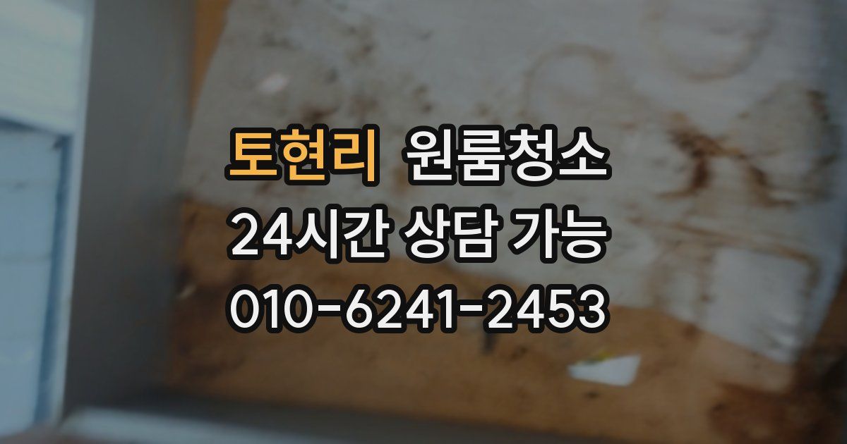 토현리 입주청소