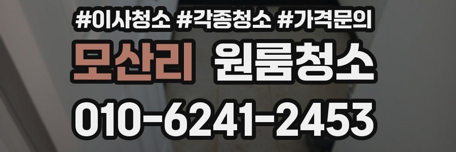 모산리 이사청소