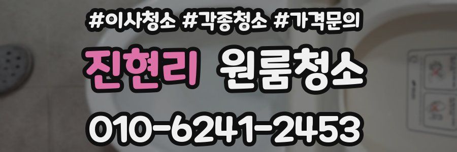 진현리 이사청소