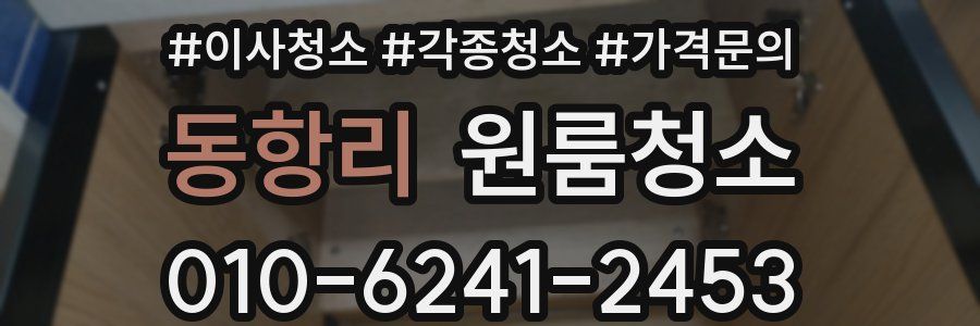 동항리 이사청소