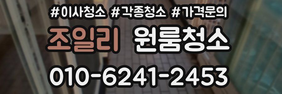 조일리 이사청소