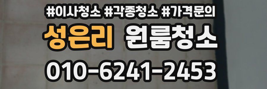 성은리 이사청소