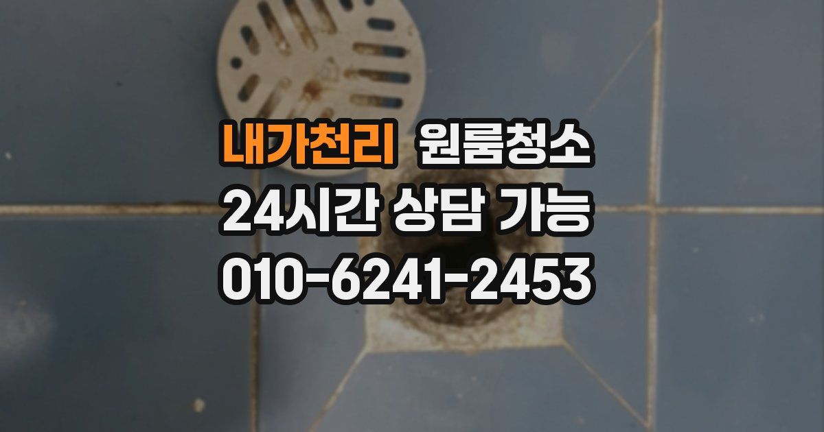 내가천리 입주청소