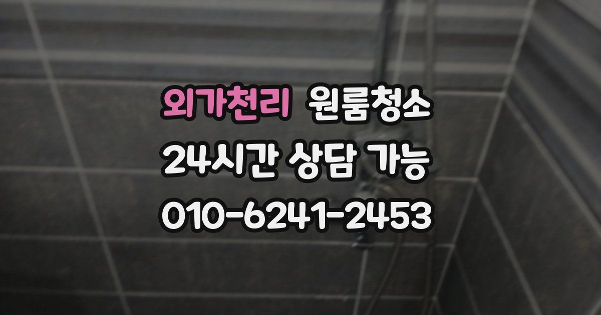 외가천리 입주청소