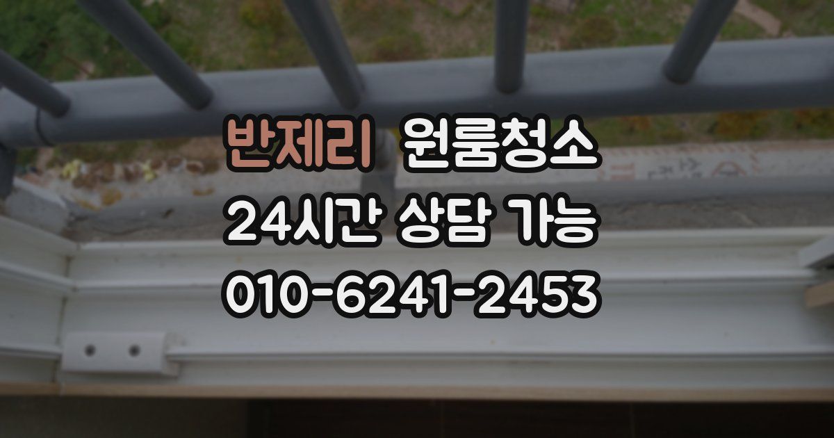 반제리 입주청소